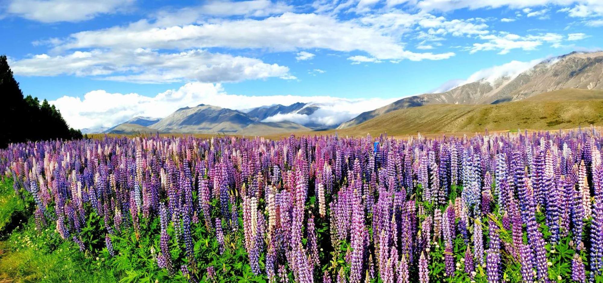 37 Galaxy A Apartamento Lake Tekapo Exterior foto